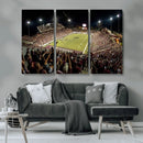 Washington-Grizzly Stadium Canvas Print, American Football