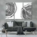 Abstract Large Tree Rings – Minimalist Black and White Wood