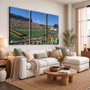 University of Missouri Tigers Football Team Print - Columbia