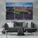 South Carolina Gamecocks Football Team Print - Columbia