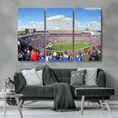 Buffalo Bills NFL Football Team Print - Buffalo Highmark