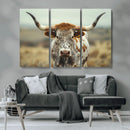 Texas Cow Longhorn Wall Art Canvas Print for Farm House Wall