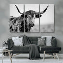 Texas Highland Cow Longhorn Canvas Print - Rustic Farmhouse by MyGreatCanvas | Canvas Wall Art Prints | Photo Prints & Wall Decor