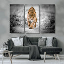 Jaguar Wall Art Canvas Print - Majestic Big Cat in Focused by MyGreatCanvas | Canvas Wall Art Prints | Photo Prints & Wall Decor
