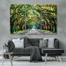 Serene Tree Tunnel Wall Art Canvas Print – Pathway Under by MyGreatCanvas | Canvas Wall Art Prints | Photo Prints & Wall Decor