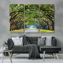 Wormsloe State Plantation Driveway Wall Art Canvas Print by MyGreatCanvas | Canvas Wall Art Prints | Photo Prints & Wall Decor