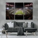 Eagles Field Stadium Wall Art - Philadelphia Eagles Football