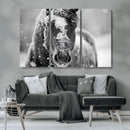 Black and White Horse Winter Wall Art | Ready to Hang and
