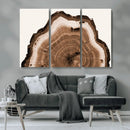 Rustic Wood Rings Wall Art | Nature-Inspired Tree Ring