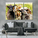 Curious Cows Farmhouse Wall Art | Ready to Hang and Framed