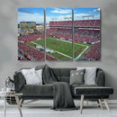 Florida Tampa Raymond James Stadium Wall Art Canvas Print -