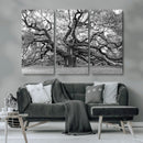Black White Angel Oak Tree Wall Art - Timeless
