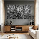 Majestic Angel Oak Tree Black and White Canvas Print – Multi by MyGreatCanvas | Canvas Wall Art Prints | Photo Prints & Wall Decor