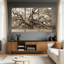 Sepia Framed Angel Oak Tree Wall Art - 3-Panel Canvas