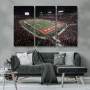 Houston Cougars Football Team Print - Houston TDECU Stadium