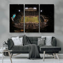 Wake Forest University Demon Deacons Canvas Printi, Football