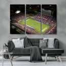 Florida Atlantic University Owls Canvas Print, Football Team by MyGreatCanvas | Canvas Wall Art Prints | Photo Prints & Wall Decor