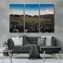 University of Charlotte 49ers Football Team Print - by MyGreatCanvas | Canvas Wall Art Prints | Photo Prints & Wall Decor