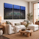 University of Michigan Wolverines Football Team Print - Ann