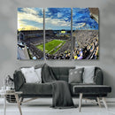 Framed USF Bulls Football Team Print - Tampa Raymond James by MyGreatCanvas | Canvas Wall Art Prints | Photo Prints & Wall Decor