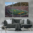 University of California Golden Bears Football Team Print - by MyGreatCanvas | Canvas Wall Art Prints | Photo Prints & Wall Decor