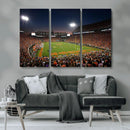 Clemson University Tigers Art Print, Football Team Print -