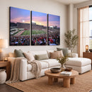 Indiana University Hoosiers Football Team Print -