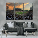 Michigan State Spartans Football Team Print - East Lansing