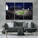 Michigan State Spartans Canvas, Framed Football Team Print - by MyGreatCanvas | Canvas Wall Art Prints | Photo Prints & Wall Decor