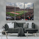 Rutgers Scarlet Knights Football Team Print - SHI Stadium,