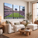 TCU Horned Frogs Football Team Print - Fort Worth Amon G.