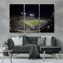TCU Horned Frogs Football Team Print - Fort Worth Amon G.