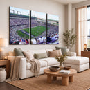 The Texas Christian University TCU Horned Frogs Football