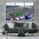 The Texas Christian University TCU Horned Frogs Football