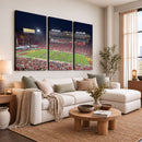 The University of Southern California USC Trojans Football