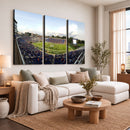 The Duke University Blue Devils Football Team Print - Durham