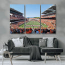 Oregon State Beavers Football Team Print - Corvallis Reser