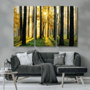 Sunlit Forest Wall Art Canvas Print – Large Framed Woodland