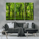 Lush Green Forest Canvas Print | 3-Panel Forest Wall Art |