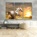 Large Wall Art Galloping White Horse at Sunset Canvas Print