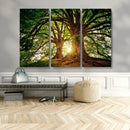 Majestic Ancient Tree Wall Art, NatureCanvas Print, Woodland by MyGreatCanvas | Canvas Wall Art Prints | Photo Prints & Wall Decor