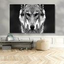 Black and White Wild Wolf Wall Art Canvas Print