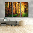 Sunlight Through Trees Wall Art Canvas Print - Autumn Forest