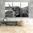 Longhorn Steer Canvas Print Wall Art, Highland Cow Canvas by MyGreatCanvas | Canvas Wall Art Prints | Photo Prints & Wall Decor