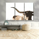 Texas Longhorn Wall Art Canvas Print | 3-Panel Large