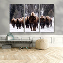 Bison Wall Art Canvas Print- Bison Herd Canvas Wall Art –