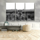 Black and White Highland Cow Canvas Wall Art, Longhorn by MyGreatCanvas | Canvas Wall Art Prints | Photo Prints & Wall Decor