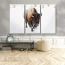 Bison Winter Wall Art Canvas Print For Farmhouse Decor
