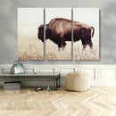 Bison in Field Wall Art Canvas Print For Farmhouse Barn