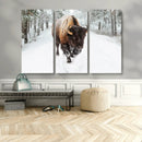 Bison Wall Art Canvas Print For Farmhouse, Animal Canvas